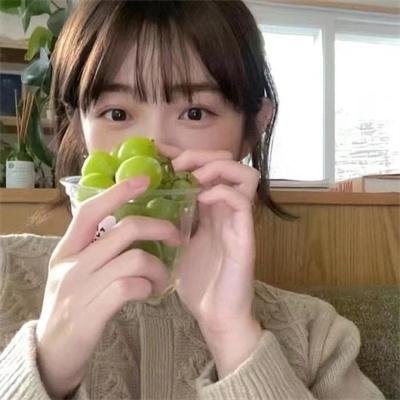 少年间谍第一季